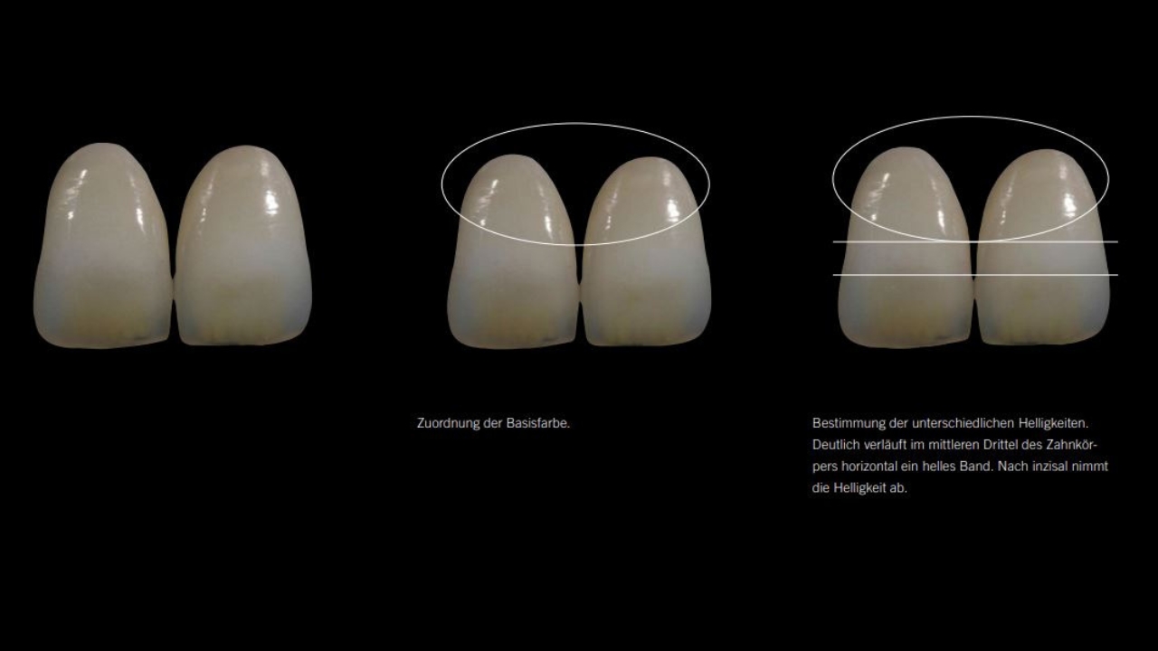 Zuordnung der Basisfarbe in der Farbnahme