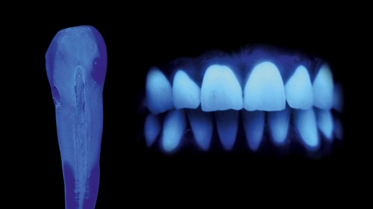Hochfluoreszierende Value-Massen steuern die Helligkeit und Chroma