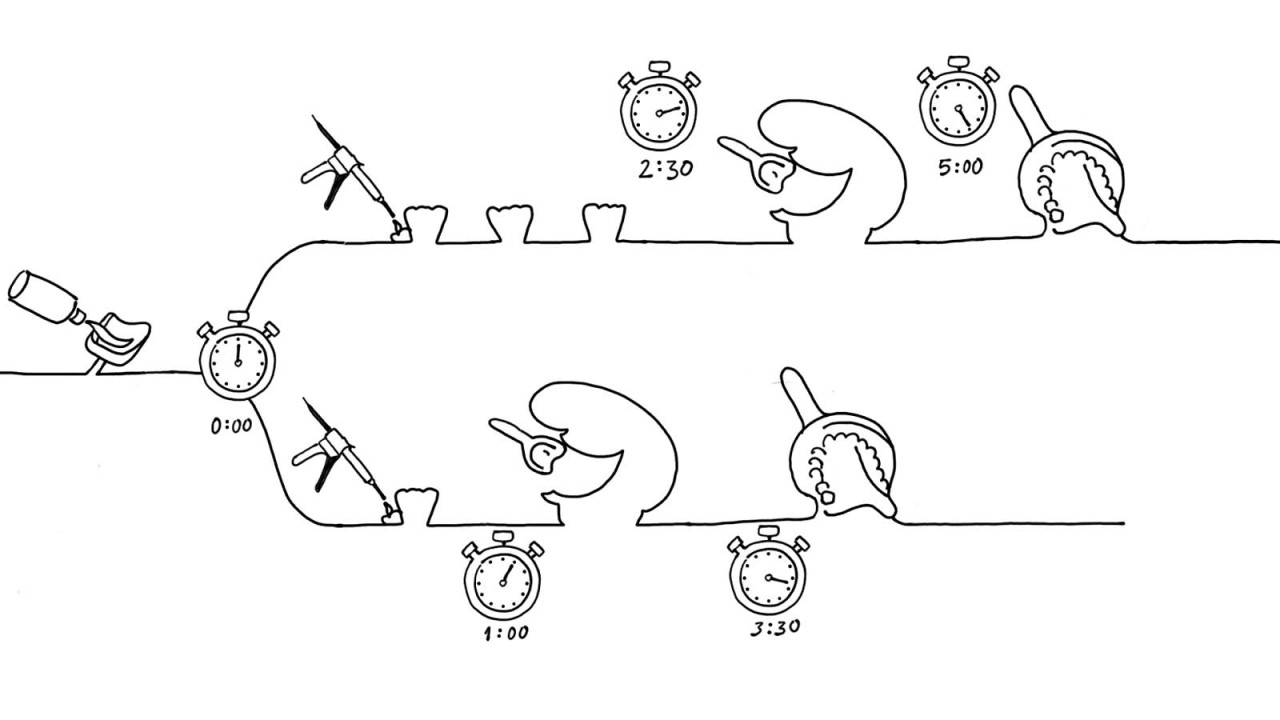 Flexible working time – precise results